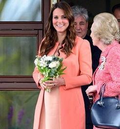 香港爆料凯特王妃视频大全,凯特王妃视频大全揭秘